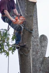 worker